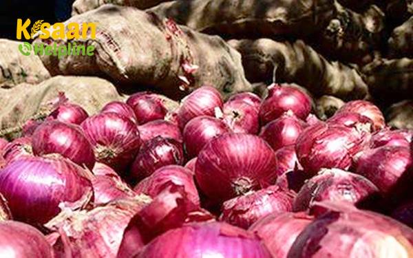 नेफेड ने 20 नवंबर तक 15,000 टन आयातित लाल प्याज की आपूर्ति के लिए बोली लगाई